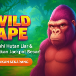 Wild Ape dirancang untuk memberikan pengalaman bermain yang tak terlupakan.